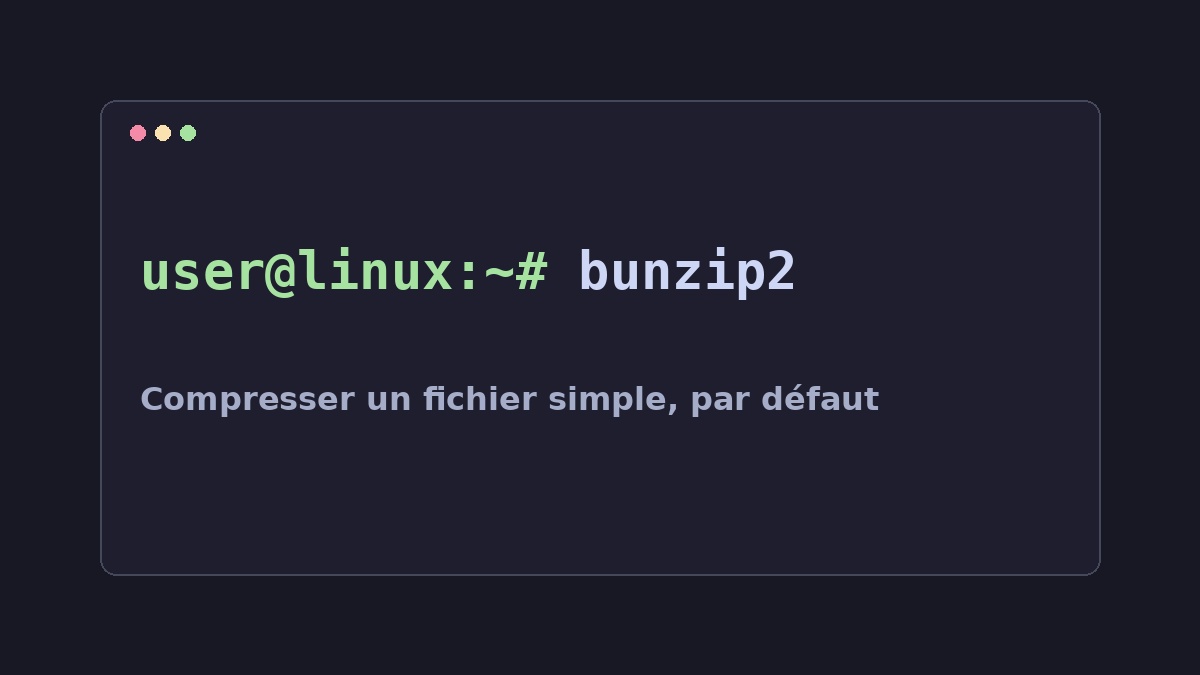 Illustration Linux pour la commande bunzip2