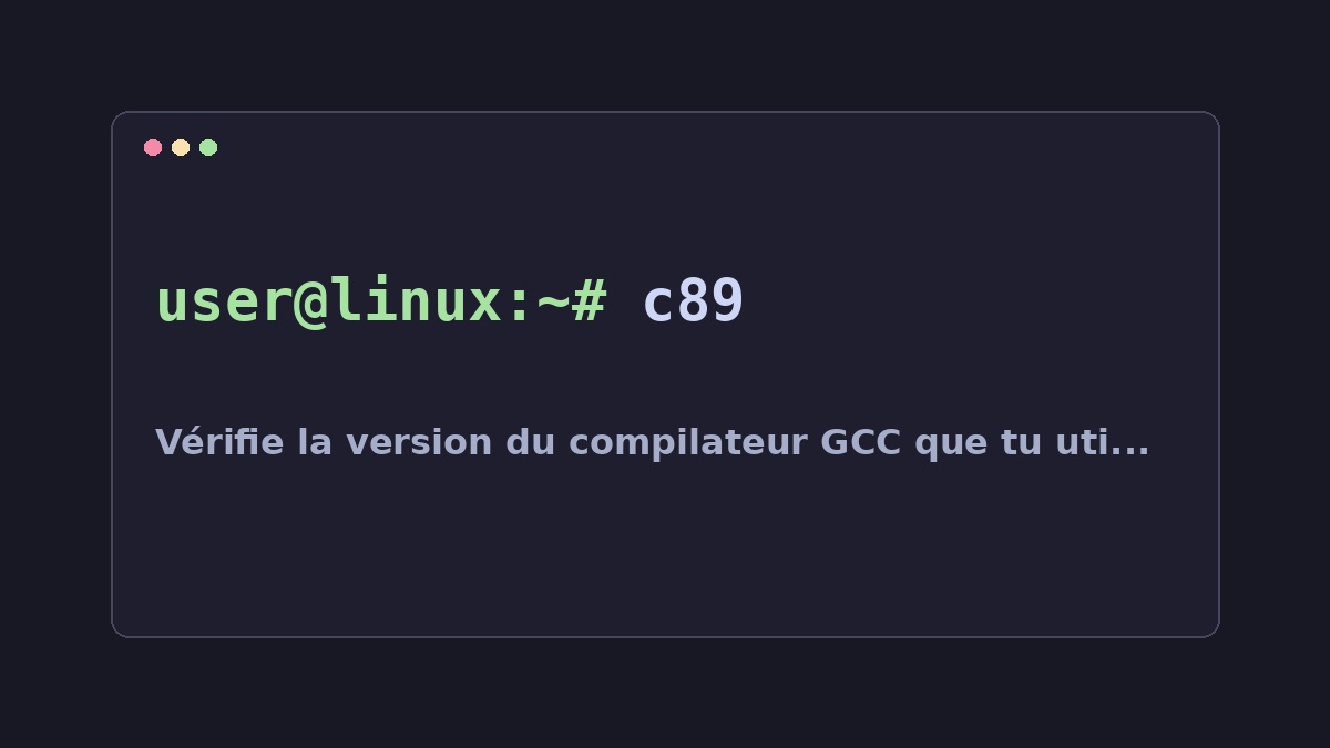Illustration Linux pour la commande c89