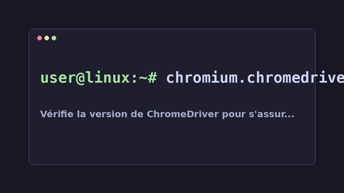 Illustration Linux pour la commande chromium.chromedriver