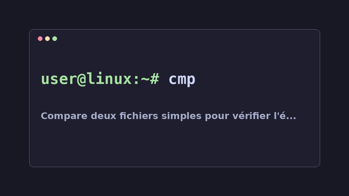 Illustration Linux pour la commande cmp