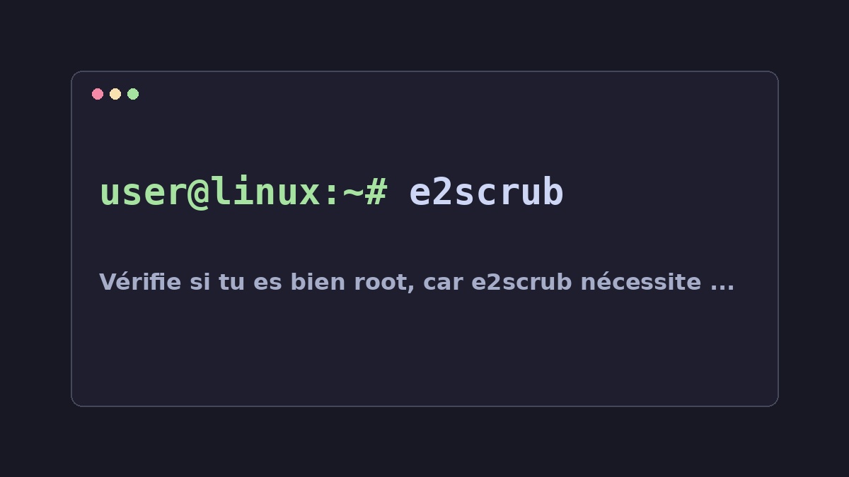 Illustration Linux pour la commande e2scrub