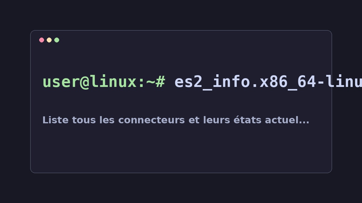 Illustration Linux pour la commande es2_info.x86_64-linux-gnu