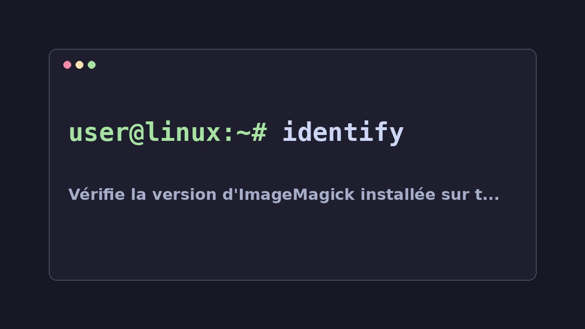 Illustration Linux pour la commande identify