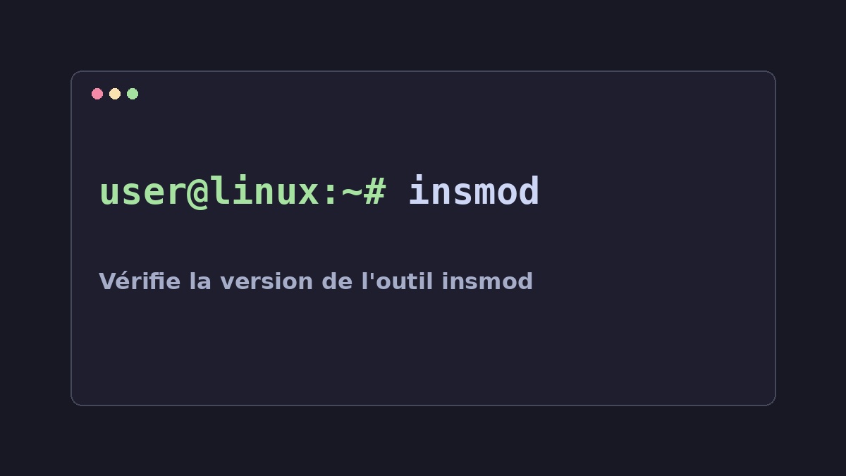 Illustration Linux pour la commande insmod