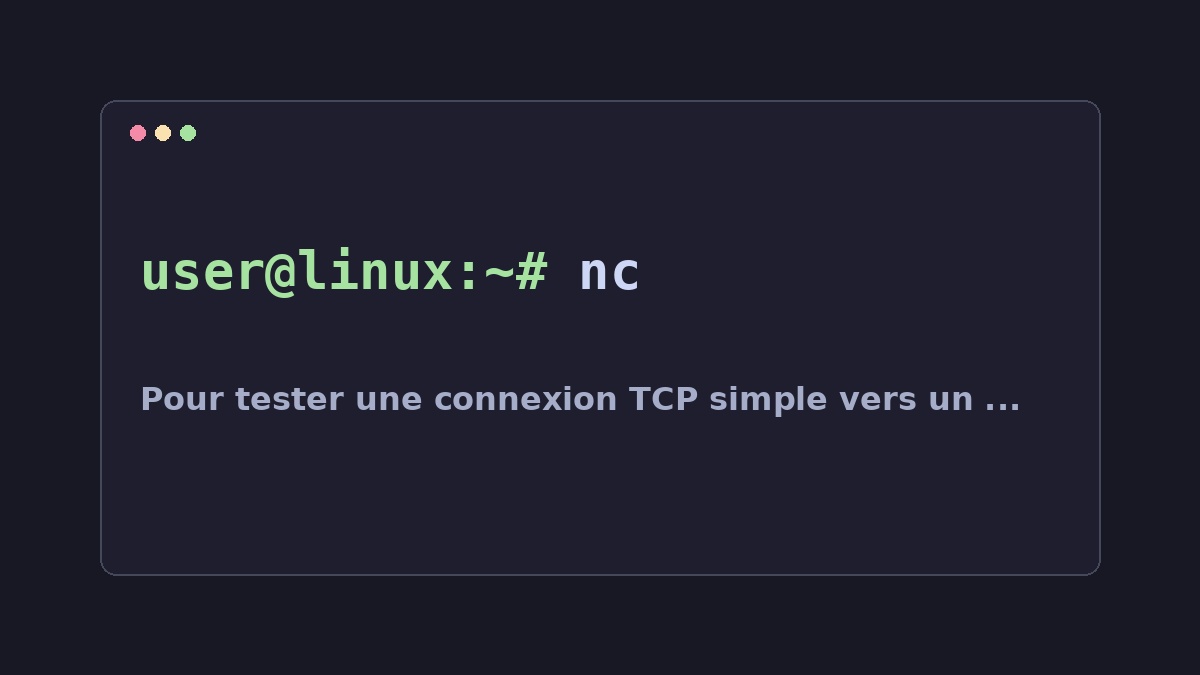 Illustration Linux pour la commande nc
