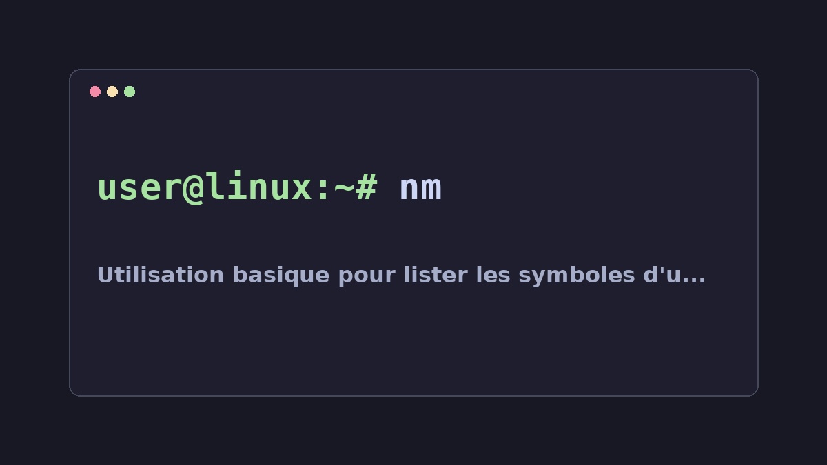 Illustration Linux pour la commande nm