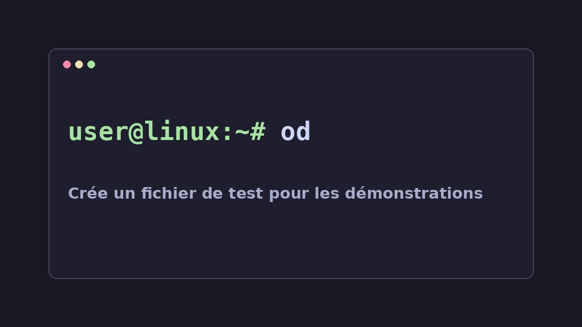 Illustration Linux pour la commande od