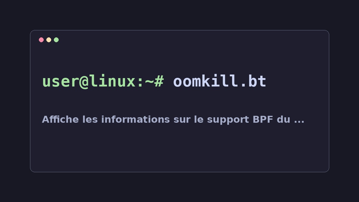 Illustration Linux pour la commande oomkill.bt