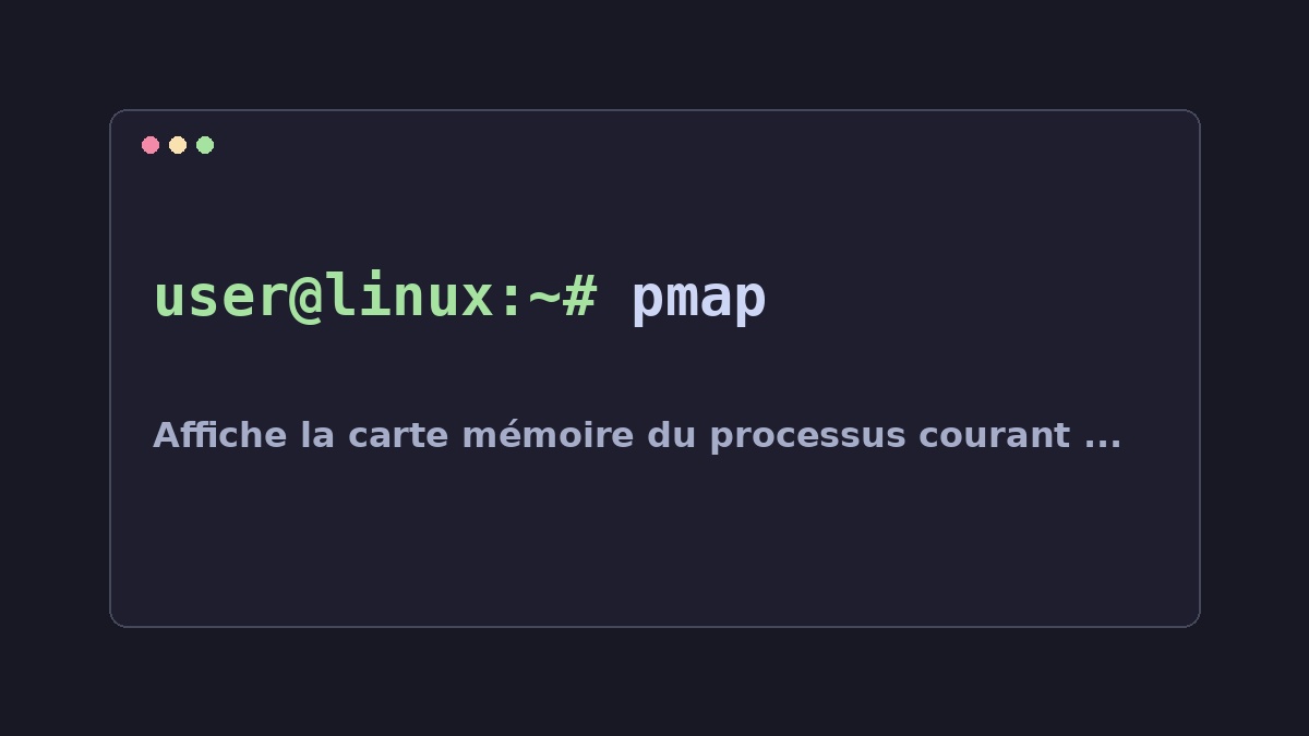 Illustration Linux pour la commande pmap