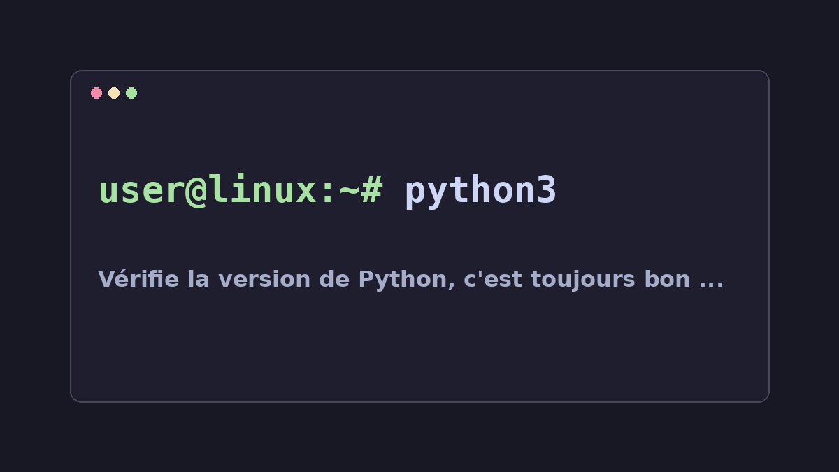 Illustration Linux pour la commande python3