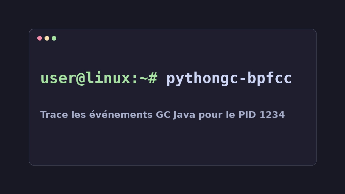 Illustration Linux pour la commande pythongc-bpfcc