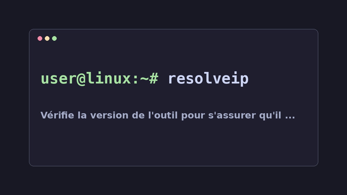 Illustration Linux pour la commande resolveip