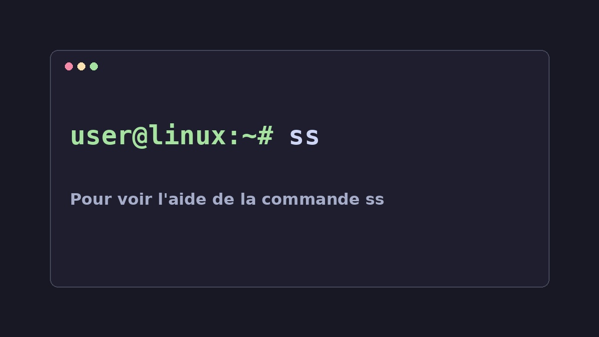 Illustration Linux pour la commande ss