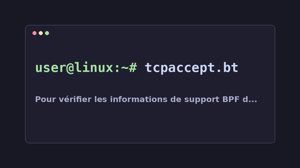 Illustration Linux pour la commande tcpaccept.bt