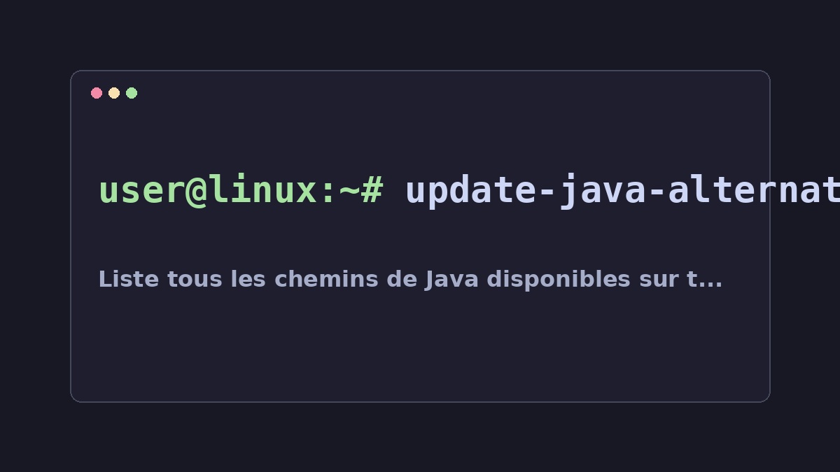 Illustration Linux pour la commande update-java-alternatives