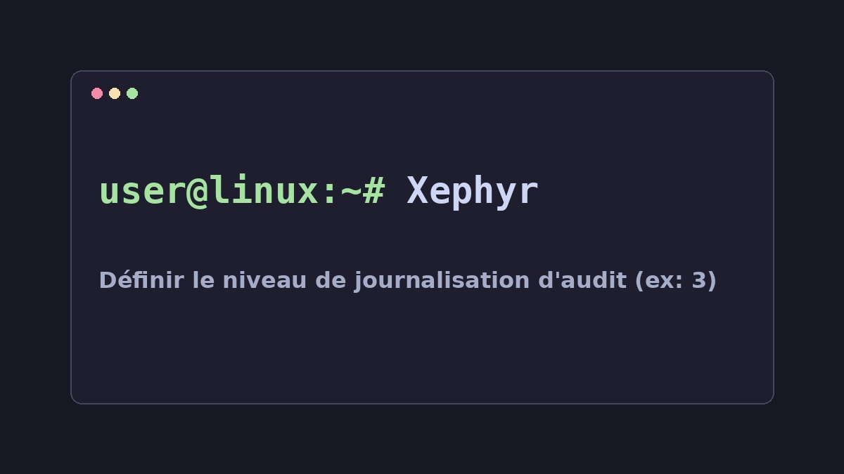Illustration Linux pour la commande Xephyr